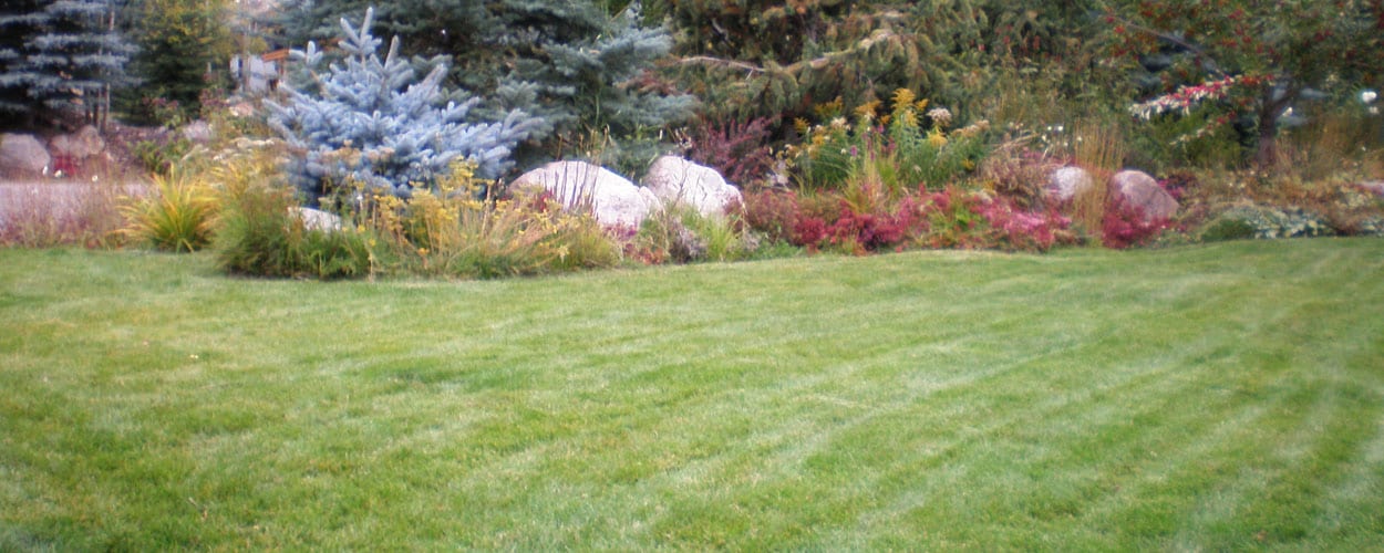 High-End Landscape & Lawn Maintenance in Vail Valley